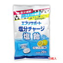 【日本薬剤】エブリサポート 塩分チャージ 塩飴 グレープフルーツ味 20個ミネラル補給 クエン酸100mg配合