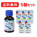 【健栄製薬】【送料無料 メール便 5個セット】【ケンエー】 ハッカ油 P 20ml×5個セットハッカ油P