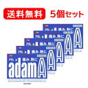 【第(2)類医薬品】【送料無料 5個セット】【皇漢堂製薬】アダムA錠 120錠×5個 ※セルフメディケーション税制対象医薬品