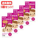 【第(2)類医薬品】【送料無料!5個セット!】【摩耶堂製薬】十方便秘薬(温腹) 420錠×5個セット
