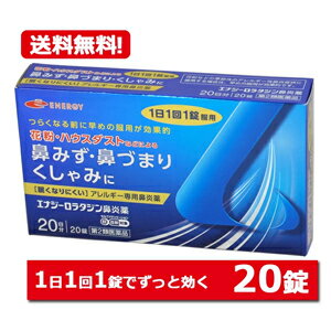 【第2類医薬品】ロラタジン鼻炎薬　20錠　20日分 1日1回 眠くなりにくい ※セルフメディケーション税制対象商品 花粉症対策 花粉対策 アレルギー専用鼻炎薬 薬 花粉症 花粉 花粉症薬 ハウスダスト 鼻炎 鼻水 鼻づまり くしゃみに メール便 送料無料