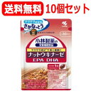 【送料無料！10個セット！】小林製薬の栄養補助食品ナットウキナーゼ　DHA　EPA30粒(約30日分)【納豆キナーゼ】