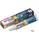 【アース製薬(ヘイリオンジャパン) 】 新ポリグリップ プレミアムプラス 長時間安定&噛む力EX 70g 管理医療機器 快適性 使いやすい 少量で安定 無添加