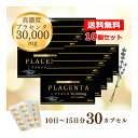お試しキャンペーン ! クーポン利用で10,000円 6/27まで【送料無料】 エナジー プラセンタ30000 30カプセル 約150日分プラセンタ サプリメン...