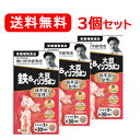 【野口医学研究所】【送料無料！】[3個セット]鉄＆大豆イソフラボン（250mg×90粒）約30日分×3個セット【栄養補助食品】