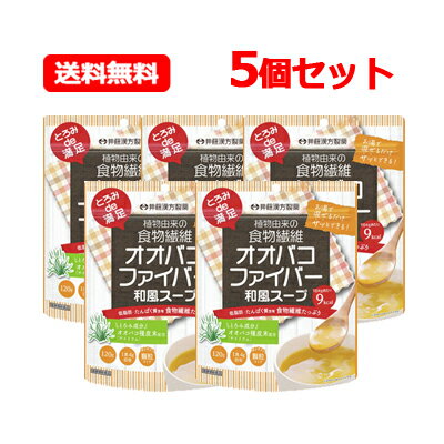 井藤漢方製薬 送料無料とろみde満足 オオバコファイバー 和風スープ 120g 30日分和風スープ 顆粒タイプ とろみ 低脂肪 5個セット 1