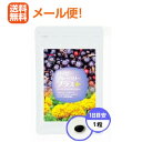 【メール便対応!! 送料無料!!】【日正ケア&キュア】ハッピーブルーベリープラス 30粒【1ヶ月分】【アイケア】【P25Apr15】