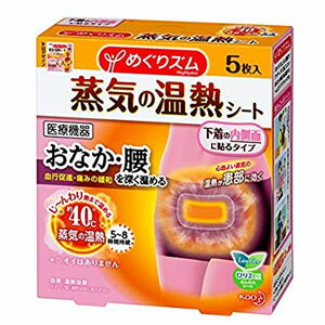 【花王】めぐりズム 蒸気の温熱シート 下着の内側面に貼るタイプ 5枚メグリズム　めぐリズム