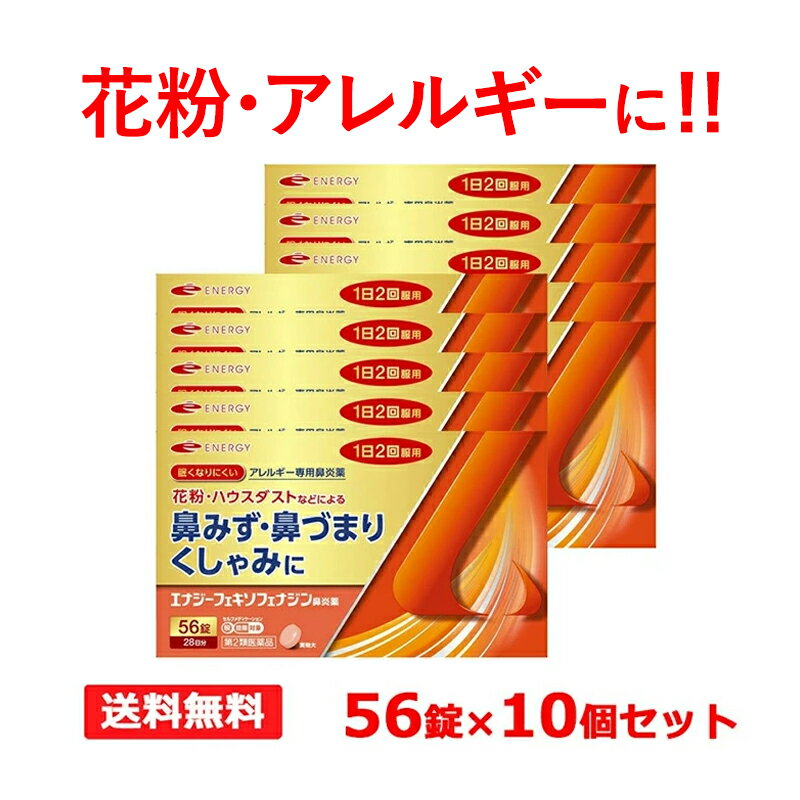 ����2������ʡۡڥ᡼���ء�����̵����10�ĥ��åȡ� ���ʥ�������륮��ɡ���� (���ʥ����ե������ե��ʥ���ɡ����) 56����10���å� 280��ʬ ��ʴ���к�...