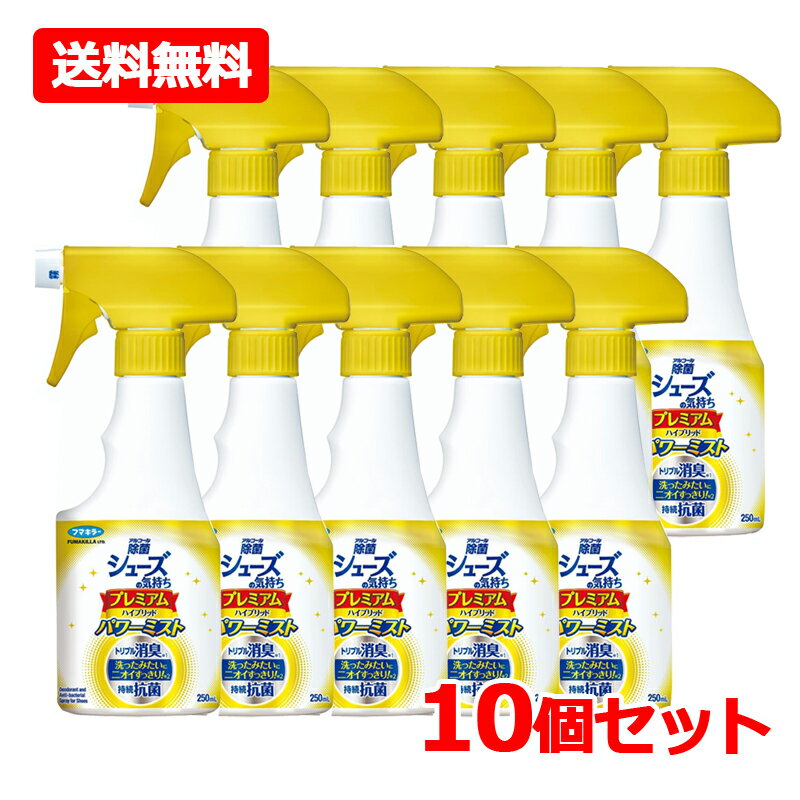 【送料無料・10個セ