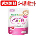 【メール便!送料無料!3個セット!】【ビーンスターク・マム】毎日カルシウム+鉄40粒(20日分)×3個