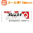 全商品ポイント5倍 ※要エントリー【第2類医薬品】【メール便送料無料!5セット】【丹平】コンジスイQ3g×5