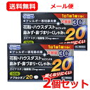 【第2類医薬品】【送料無料・メール便・2個セット】小林薬品ナブルシオン20 30錠 30日分×2※セルフメディケーション税制対象商品エピナスチン塩酸塩 花粉 ハ...