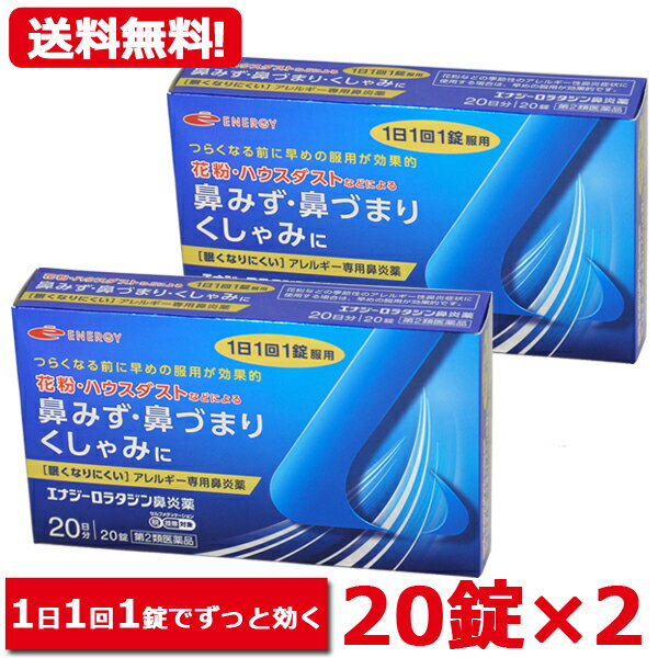 【第2類医薬品】ロラタジン鼻炎薬　20錠×2　合計40錠　40日分 1日1回 眠くなりにくい ※セルフメディケーション税制対象商品 花粉症対策 花粉対策 アレルギー専用鼻炎薬 薬 花粉症 花粉 花粉症薬 ハウスダスト 鼻炎 鼻水 鼻づまり くしゃみに メール便 送料無料 2個セット