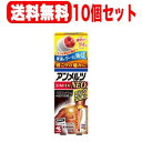 【第2類医薬品】【小林製薬】アンメルツゴールドEX NEOグイ塗り 90ml×10個セット