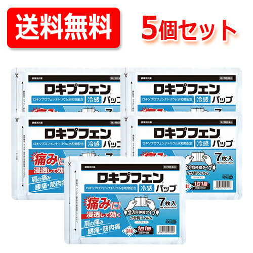 【第2類医薬品】送料無料・5個セットラクール ロキプフェンパップラミネート袋 7枚入