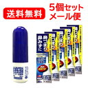 【第2類医薬品】【メール便対応 送料無料 5セット】エナジー点鼻薬 30ml×5個セット【2000円ポッキリ！】【tkg】ナファゾリン塩酸塩 点鼻薬 くしゃみ 鼻みず 鼻づまり 急性鼻炎 鼻水 アレルギー性鼻炎 副鼻腔炎 ナザール スプレー ジェネリック