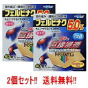 【第2類医薬品】【送料無料!! 2個セット!!】【テイコクファルマケア】オムニードFBプラスターα40枚×2個