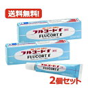 【第(2)類医薬品】【メール便・送料無料・2個セット】【田辺三菱製薬】フルコートF 軟膏 10g×2