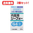 【第2類医薬品】【送料無料!2個セット!】【佐藤製薬】内服用ジーフォー <24錠>×2