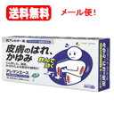 【第2類医薬品】送料無料・メール便!ファイン アレマンエース 24カプセル
