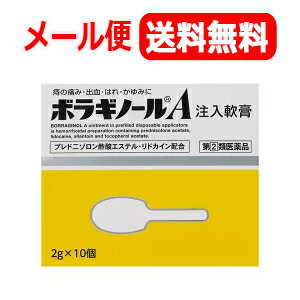 【第(2)類医薬品】ザッスルAX注入軟膏(2G×10個)［宅配便・送料無料］