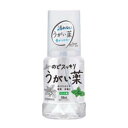 【健栄製薬】ケンエー　のどスッキリうがい薬CPミント味　300ml【医薬部外品】のどの殺菌消毒洗浄口臭の除去