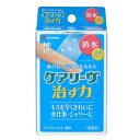 【ニチバン】ケアリーヴ(ケアリーブ)治す力防水タイプMサイズ12枚入りCNB12M
