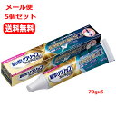 【メール便 5個セット 送料無料】 【アース製薬(ヘイリオンジャパン) 】 新ポリグリップ プレミアムプラス 長時間安定&噛む力EX 70gx5 管理医療機器 ...