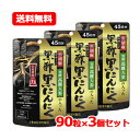 井藤漢方製薬 黒胡麻・発酵高麗人参の入った黒酢黒にんにく 45日分 90粒高麗人参 黒胡麻セサミン 井藤漢方メール便 送料無料 3個セット