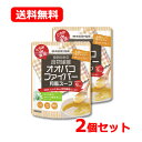 【特別大奉仕!】井藤漢方製薬 メール便 送料無料とろみde満足 オオバコファイバー 和風スープ 120g 30日分和風スープ 顆粒タイプ とろみ 低脂肪 2個セ...