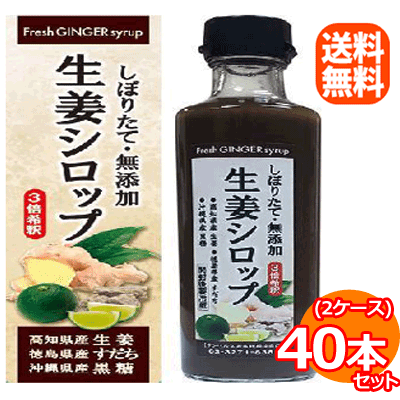 【送料無料！2ケース】【サンヘルス】生姜シロップ　275ml×40本【同梱不可】ジンジャーシロップGingersyrup