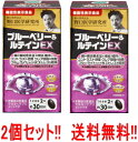 【送料無料　2個セット!!】野口医学研究所 ブルーベリー＆ルテイン EX 60錠×2個　機能性表示食品