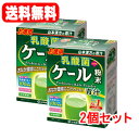 【2個セット！送料無料】【山本漢方製薬】乳酸菌プラスケール粉末 （4g×30包）×2個セット