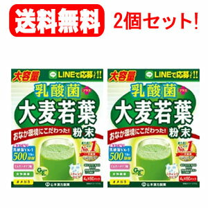 【山本漢方製薬】【送料無料!2個セット!】 乳酸菌大麦若葉粉末スティックタイプ 4g×60包入 【おいしい青汁】 【山本漢方製薬】【送料無料!2個セット!】 乳酸菌大麦若葉粉末スティックタイプ 4g×60包入 【おいしい青汁】