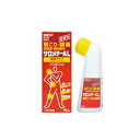 【第3類医薬品】佐藤製薬サロメチールL80ml 液剤