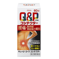  ��2�ވ��i �L���[�s�[�R�[���R�V�e�N�^�[60�� ���a�V�� 