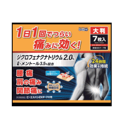 大判材料2枚　15% 楽天市場】【×10箱セット送料込】【第2類医薬品】大石膏盛堂