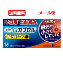 【第2類医薬品】【送料無料・メール便】大正製薬 プリザ Gカプセル 24カプセル痔核(いぼ痔) 痔 出血 痔の痛み 痔のはれ内服タイプ ソフトカプセル