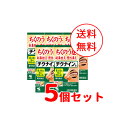 【第2類医薬品】【送料無料!5個セット!】【小林製薬】チクナインちくないんb224錠