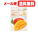 【第3類医薬品】【メール便！送料無料！】【日本臓器】マスチゲンBBチュアブル錠12錠