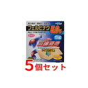 【第2類医薬品】【まとめ買い!5個セット】【テイコクファルマケア】オムニードFBプラスターα40枚×5個