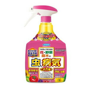 Insect Powder - フマキラーカダンプラスDX1000ml