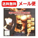 【マルマン】【メール便・送料無料!】EMSマッスルパック ネオ