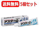 【第2類医薬品】【送料無料!5個セット!】【丹平製薬】アスターG軟膏16gx5個