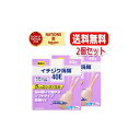 【第2類医薬品】【送料無料・2個セット】イチジク浣腸40E 40g×10個×2個セット