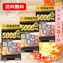 【第2類医薬品】 1個当たり2,900円【送料無料・3個セット】エナジー 防風通聖散料5000 360錠×3 30日分×3セット 満量処方 5000mg 肥満症...