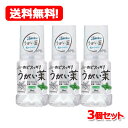 【送料無料・3個セット】【健栄製薬】ケンエー のどスッキリうがい薬CPミント味 300ml×3個セット【医薬部外品】のどの殺菌消毒洗浄口臭の除去