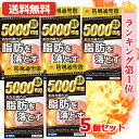 【第2類医薬品】 【送料無料・5個セット】 エナジー 防風通聖散料5000 360錠×5 30日分×5セット満量処方 5000mg 肥満症 便秘 むくみ 生活習...