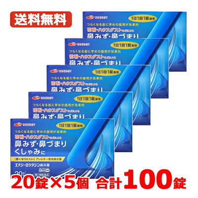 【第2類医薬品】ロラタジン鼻炎薬　20錠×5　合計100錠　100日分 1日1回 眠くなりにくい ※ ...